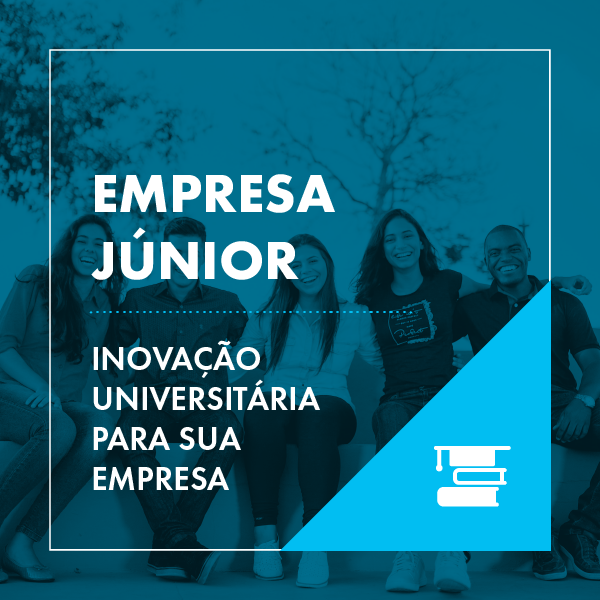 Empresa júnior: o que é e como funciona na prática?